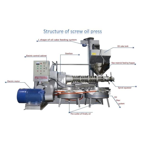 Mustard Oil Pressing Machine Full Automatic China Standard Sesame Oil Pressing Machine