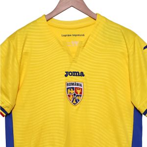 Romania 2025-2026 Home Fan Edition Football Jersey Group Customization