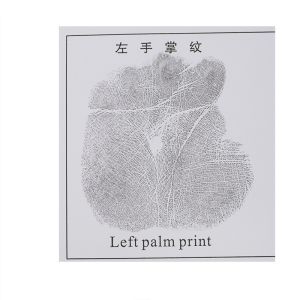 E003 BTNY-I Ceramic palm print pad