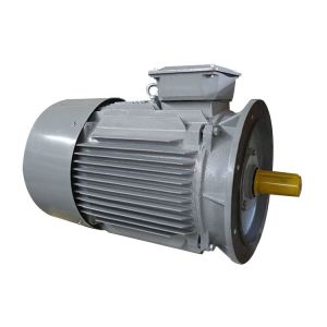 50kw Three Phase Induction Motor 3 Phase Asynchronous Motor Rpm 3000 For Planer