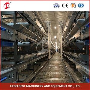 Quality 12 Cells Layer Battery Cage System For Commercial Chicken Farm Rose for sale