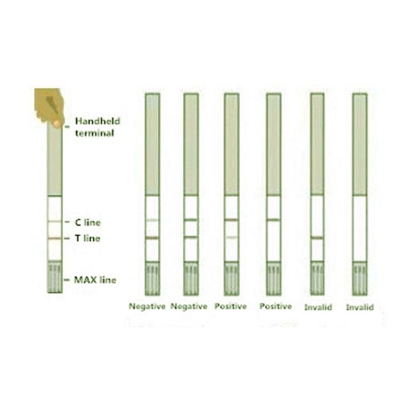 Nitrofuran AMOZ Food Safety Rapid Test Kit Strip For Tissue 96 Tests/Kit 0.5Ppb