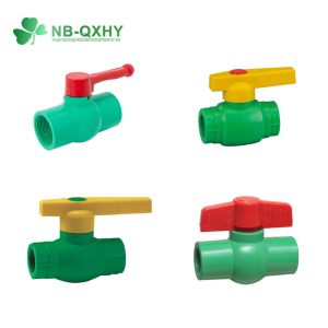 PP-R Pipe Fitting Plastic Coupling Green Color Ball Valve Union Pn20 Pn25