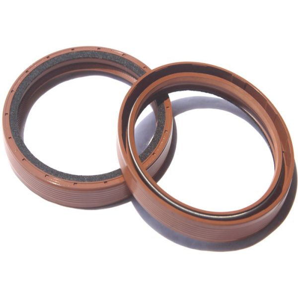 Buy 22mm Spring Energized PTFE 0.05MPa Rubber Oil Seal at wholesale prices