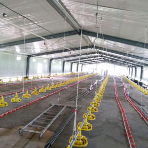 Hotel Fully Automated Broiler Poultry Prefab Steel Structure Chicken Farming