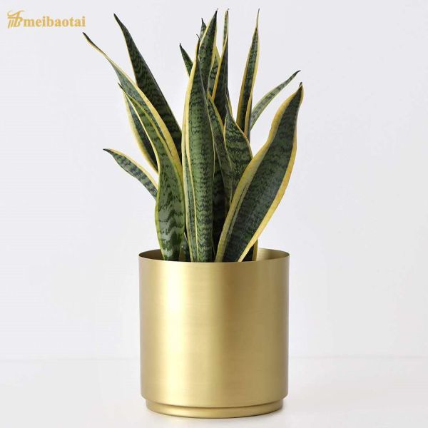 Hairline Stainless Steel Sheet Metal Fabrication PVD Coated 40-80mm Dimater