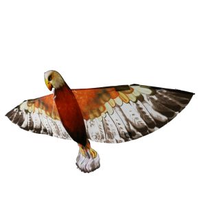 Easy Carry Polyester material 3D Eagle Kite , Single String Kite For Beginner