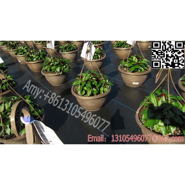 Buy 2016 weed control mat ground cover mesh fabric woven polypropylene fabric in roll at wholesale prices