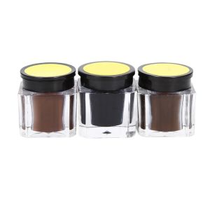 Eternal Tattoo Micro Pigment Tattoo Practice Eyebrow Lip Eyeliner Micropigment
