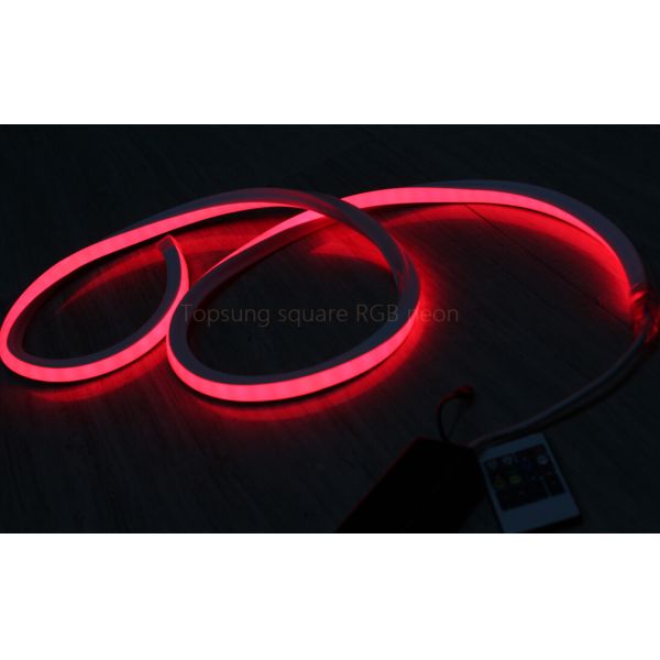 Buy Amazing bright 120v Red 16*16m led neon strips at wholesale prices