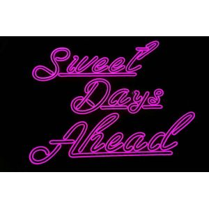 China Acrylic Silicone 200cm 8W 540lm Custom Led Neon Signs on sale