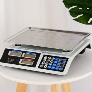 Bench Scale ABS Material Direct Digital 30kg/40kg High Accuracy 1g LED/LCD