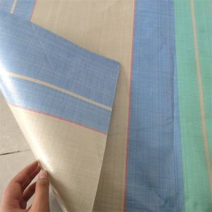 Customized Color Lightweight PE Waterproof Tarpaulin for Sunlight Blocking and