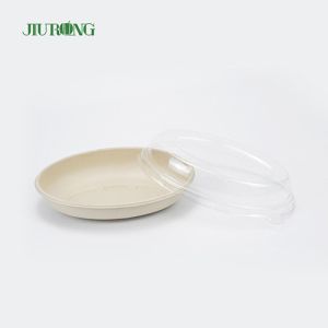Eco Friendly Disposable Sugarcane Bagasse Food Container Biodegradable