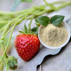 Quality Organic Micronutrients Amino Acid Chelate Fertilizer Yellow Powder for sale