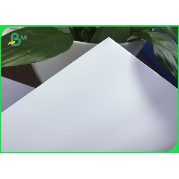 50g 60g 70g 80g Offset Printing Paper , A4 Size White Paper Roll For School
