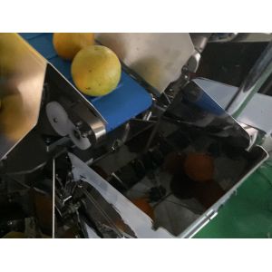 SUS304 Fruit Multihead Weigher Custom Feeding Belt For Avoiding Damaged