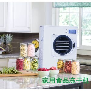 Mini Dry Freezer Machine For Versatile Freeze Drying