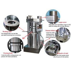 250mm Oil Cake 11kg/Batch Cooking Oil Pressing Machine