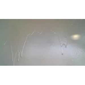 Common Issues in Waterproof Coating Application