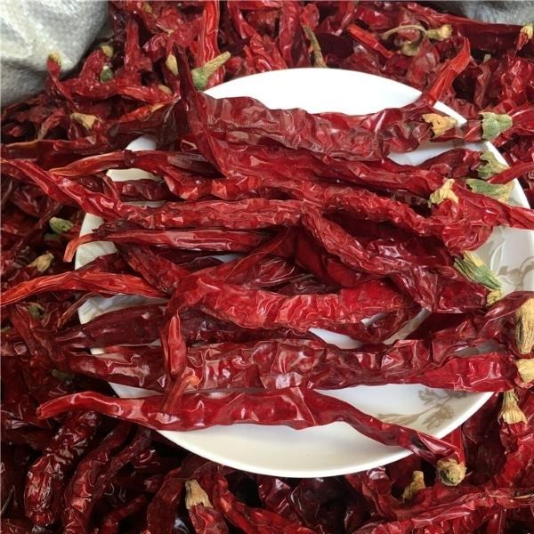 Experience the Heat of Dried Red Chilli Peppers for Hot Pot and Sichuan Cuisine