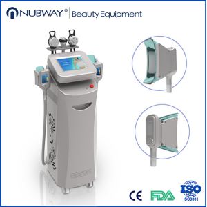 China Hot in USA Cryolipolysis Slimming Machine with high quality on sale