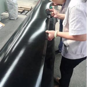 2mm Reinforced HDPE Geomembrane Liner for Durable and Long-lasting Swimming Pool