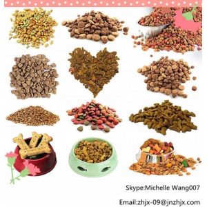 Customized Stainless Steel Small and Medium Capacity Pet Food Extruder