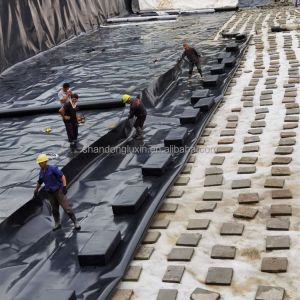 Project Solution Capability HDPE Geomembrane Pond Liner for Fish Shrimp Farming