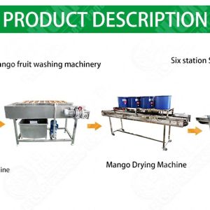 Fruit Vegetable Washing Making Machine Water Surface Cleaning Machine Food