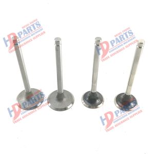 YN36GB2 Engine PISTON Valve 01628412 For KUBOTA