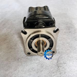 150107010038B Hydraulic Pump Assy 150107010039B Gear Pump for SW955 Sany Wheel