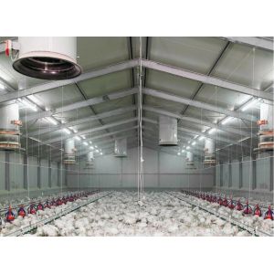 Galvanized Prefabricated Steel Structure Poultry House Chicken House Coop