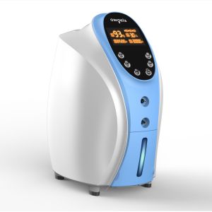 Hospital 3 LPM Oxygen Concentrator Medical Equipment Healthcare Nebulizer