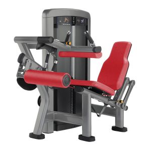 Attractive Leg Curl Exercise Machine High Strength Foldable OEM Service