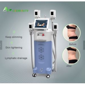 beauty salon new slimming technology fat-freezing cryolipolysis slimming machine