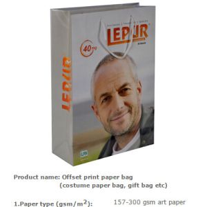 white kraft paper shopping bags with paper string handles, Luxury custom printed