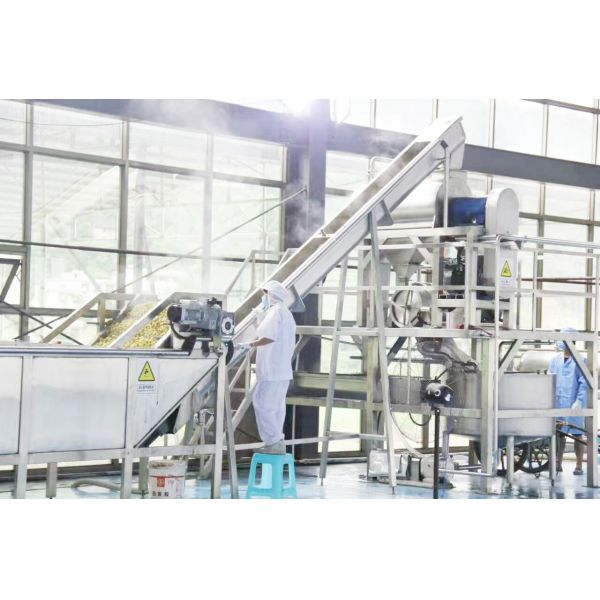 Buy Customized Multifunctional Industrial Blueberry Sauce Processing Machinery at wholesale prices