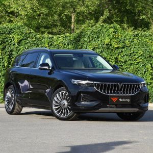 High Speed EV Fast Charging Electric Vehicle VOYAH FREE 2020-2023 ≥500Nm 5 Seats