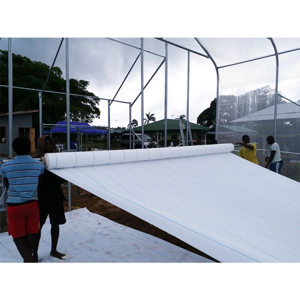 IGreen Length Strawberry Tropical Greenhouse 150/200micron Plastic Film Covering Material
