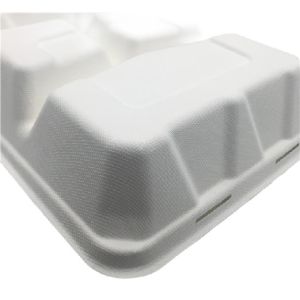 China Microwavable 23×22×5cm 45g Biodegradable Takeout Containers on sale