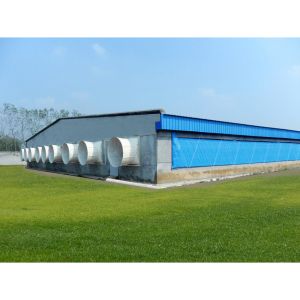 Hotel Fully Automated Broiler Poultry Prefab Steel Structure Chicken Farming