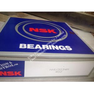 NSK double row cylindrical roller bearing NNU3034M