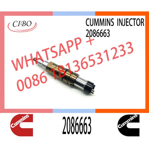 Diesel Common Rail Fuel Injector 1948565 2030519 2031836 2031835 2086663 2057401 2419679 4905880 2894920PX 2482244