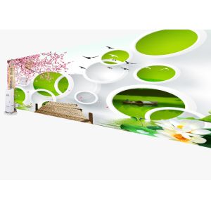 Rohs Ink 2880dpi Direct To Wall Printer