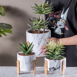 Cactus Planters Mini Pots Clay Flower Pots Cement Pot Planter Set Succulents Planters Marble Pots