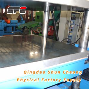Rubber Duplex Curing Press with Customizable, Rubber Mat Hidraulic press