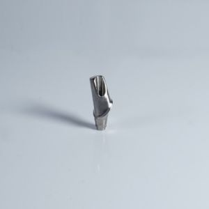 Engaging Pre Milled Abutment Nobel Biodenta Dentium Premilled Abutment