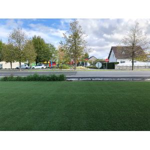 50MM Cesped Artificial Grass Synthetic Grass Green Garden Carpet Grass