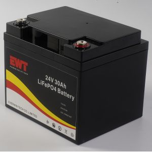 Industrial 24V Lithium Iron Phosphate Battery with 30A Maximum Continuous